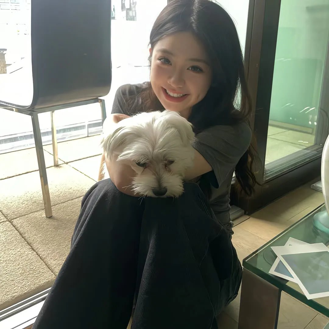 狮蚁